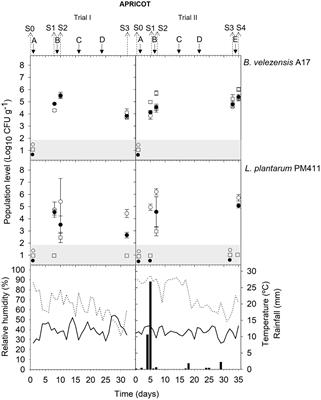 Colonization and population dynamics of total, viable, and culturable cells of two biological control strains applied to apricot, peach, and grapevine crops